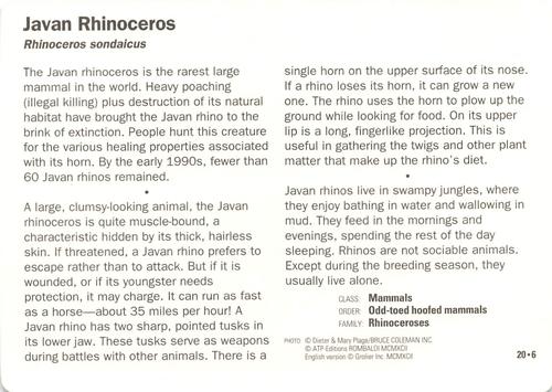 1991-95 Grolier Wildlife Adventure Cards #20.6 Javan Rhinoceros Back