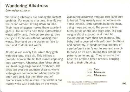 1991-95 Grolier Wildlife Adventure Cards #20.7 Wandering Albatross Back