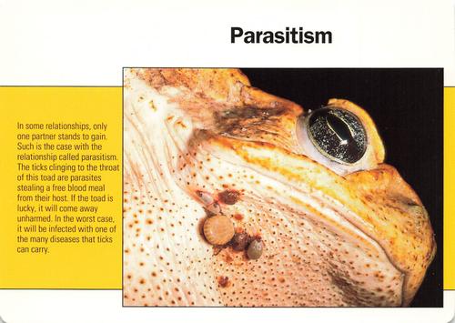 1991-95 Grolier Wildlife Adventure Cards #20.20 Parasitism Front