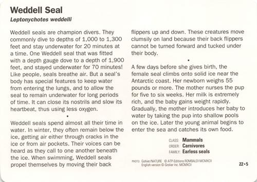 1991-95 Grolier Wildlife Adventure Cards #22.5 Weddell Seal Back
