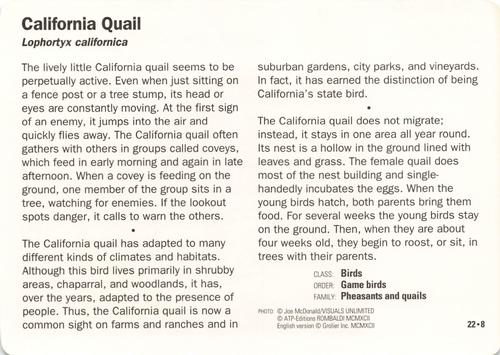 1991-95 Grolier Wildlife Adventure Cards #22.8 California Quail Back
