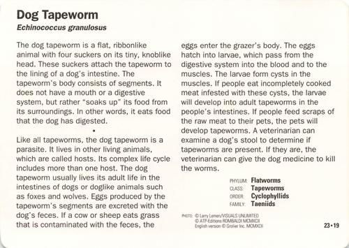1991-95 Grolier Wildlife Adventure Cards #23.19 Dog Tapeworm Back