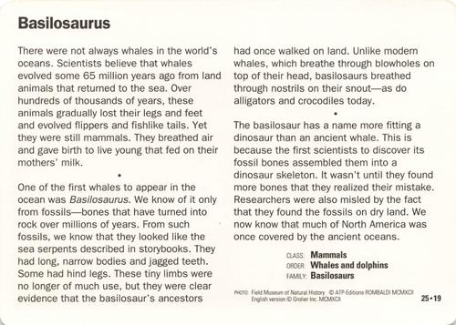 1991-95 Grolier Wildlife Adventure Cards #25.19 Basilosaurus Back