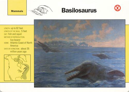 1991-95 Grolier Wildlife Adventure Cards #25.19 Basilosaurus Front