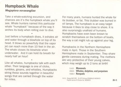 1991-95 Grolier Wildlife Adventure Cards #26.5 Humpback Whale Back