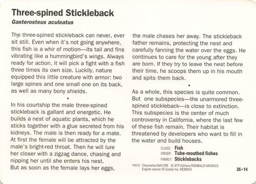 1991-95 Grolier Wildlife Adventure Cards #26.14 Three-spined Stickleback Back