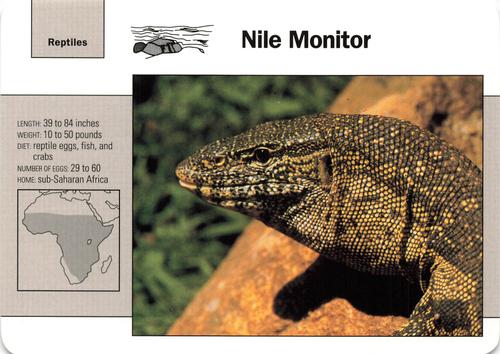 1991-95 Grolier Wildlife Adventure Cards #27.8 Nile Monitor Front