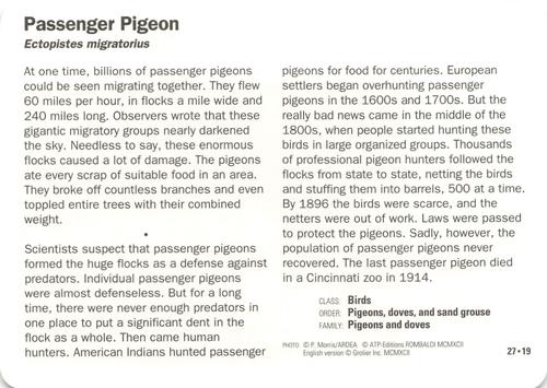 1991-95 Grolier Wildlife Adventure Cards #27.19 Passenger Pigeon Back
