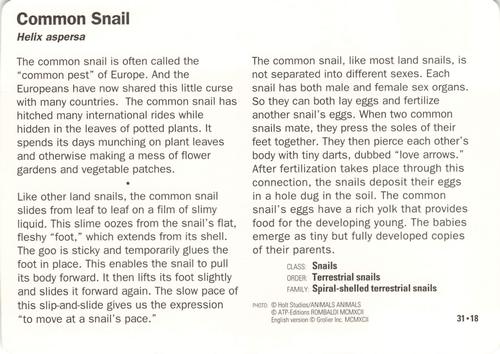 1991-95 Grolier Wildlife Adventure Cards #31.18 Common Snail Back