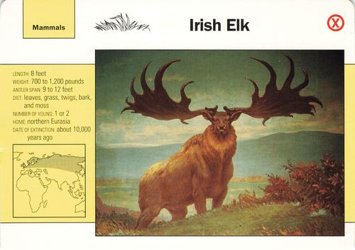 1991-95 Grolier Wildlife Adventure Cards #31.19 Irish Elk Front