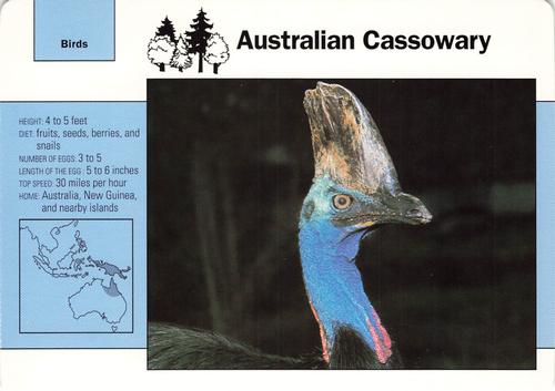 1991-95 Grolier Wildlife Adventure Cards #32.9 Australian Cassowary Front