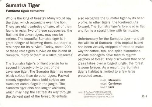 1991-95 Grolier Wildlife Adventure Cards #33.1 Sumatra Tiger Back