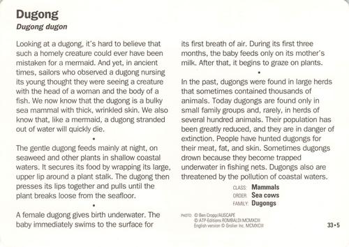 1991-95 Grolier Wildlife Adventure Cards #33.5 Dugong Back