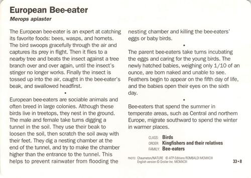1991-95 Grolier Wildlife Adventure Cards #33.8 European Bee-eater Back