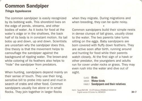 1991-95 Grolier Wildlife Adventure Cards #34.7 Common Sandpiper Back