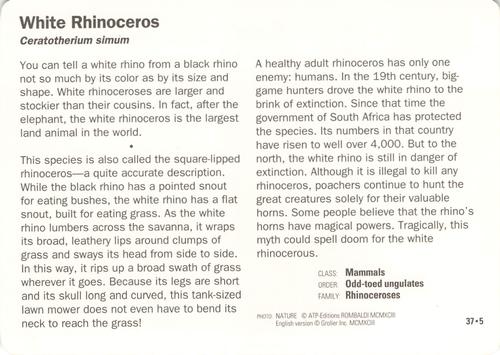 1991-95 Grolier Wildlife Adventure Cards #37.5 White Rhinoceros Back