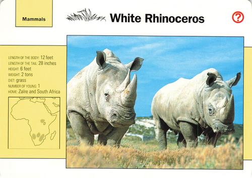 1991-95 Grolier Wildlife Adventure Cards #37.5 White Rhinoceros Front