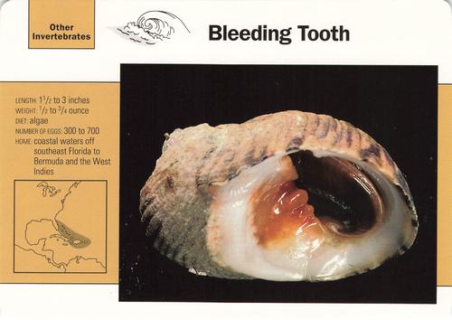 1991-95 Grolier Wildlife Adventure Cards #37.18 Bleeding Tooth Front