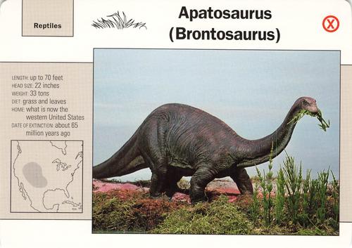 1991-95 Grolier Wildlife Adventure Cards #37.19 Apatosaurus (Brontosaurus) Front