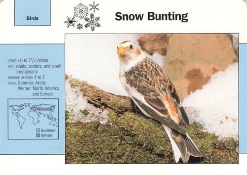 1991-95 Grolier Wildlife Adventure Cards #39.9 Snow Bunting Front