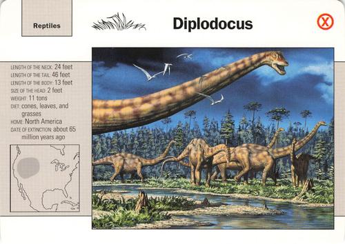 1991-95 Grolier Wildlife Adventure Cards #40.19 Diplodocus Front
