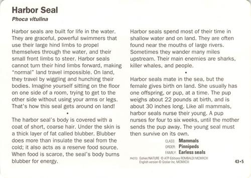 1991-95 Grolier Wildlife Adventure Cards #43.5 Harbor Seal Back