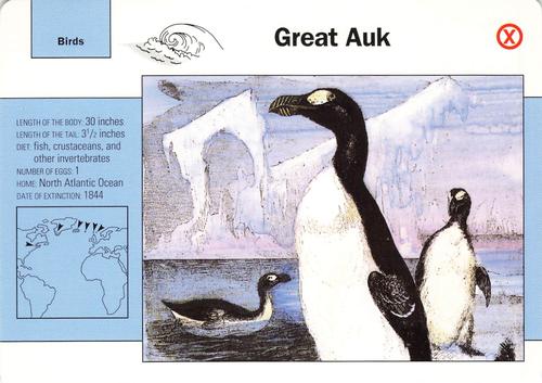 1991-95 Grolier Wildlife Adventure Cards #43.19 Great Auk Front