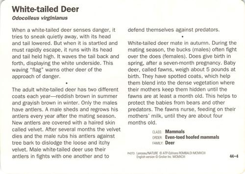 1991-95 Grolier Wildlife Adventure Cards #44.4 White-tailed Deer Back