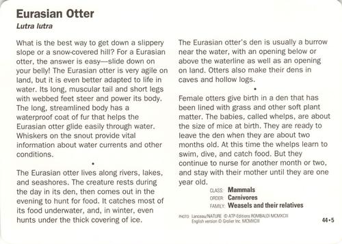 1991-95 Grolier Wildlife Adventure Cards #44.5 Eurasian Otter Back