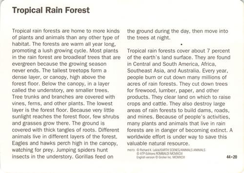 1991-95 Grolier Wildlife Adventure Cards #44.20 Tropical Rain Forest Back