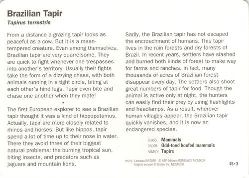 1991-95 Grolier Wildlife Adventure Cards #45.3 Brazilian Tapir Back