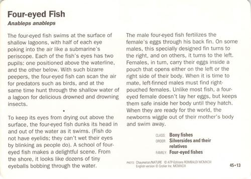 1991-95 Grolier Wildlife Adventure Cards #45.13 Four-eyed Fish Back