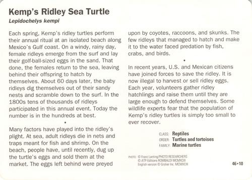 1991-95 Grolier Wildlife Adventure Cards #46.10 Kemp's Ridley Sea Turtle Back