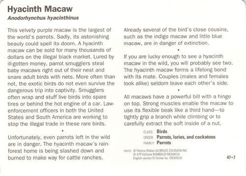 1991-95 Grolier Wildlife Adventure Cards #47.7 Hyacinth Macaw Back