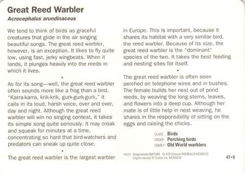 1991-95 Grolier Wildlife Adventure Cards #47.9 Great Reed Warbler Back