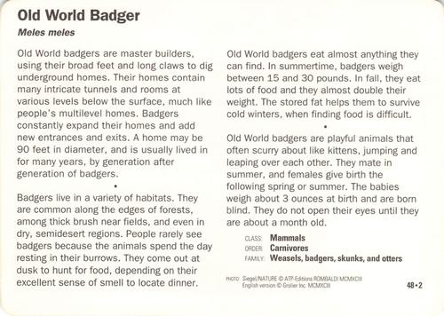 1991-95 Grolier Wildlife Adventure Cards #48.2 Old World Badger Back