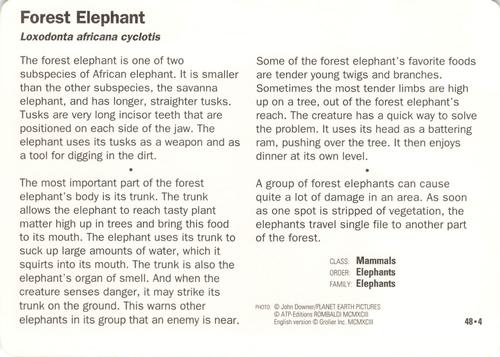 1991-95 Grolier Wildlife Adventure Cards #48.4 Forest Elephant Back