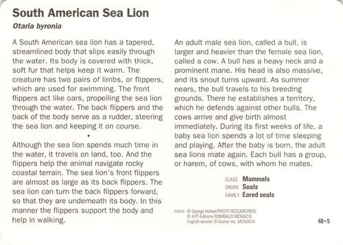 1991-95 Grolier Wildlife Adventure Cards #48.5 South American Sea Lion Back