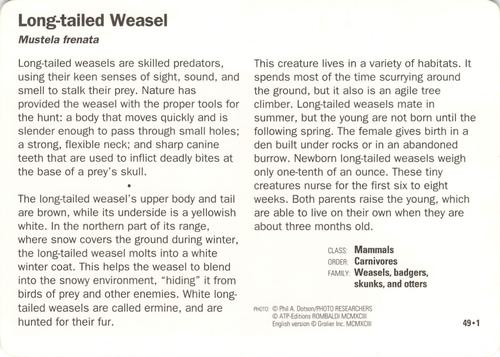 1991-95 Grolier Wildlife Adventure Cards #49.1 Long-tailed Weasel Back