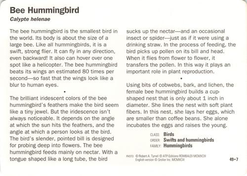 1991-95 Grolier Wildlife Adventure Cards #49.7 Bee Hummingbird Back