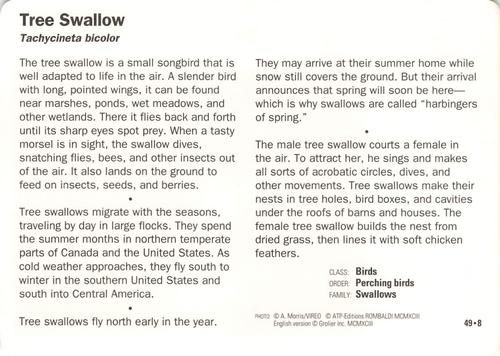 1991-95 Grolier Wildlife Adventure Cards #49.8 Tree Swallow Back