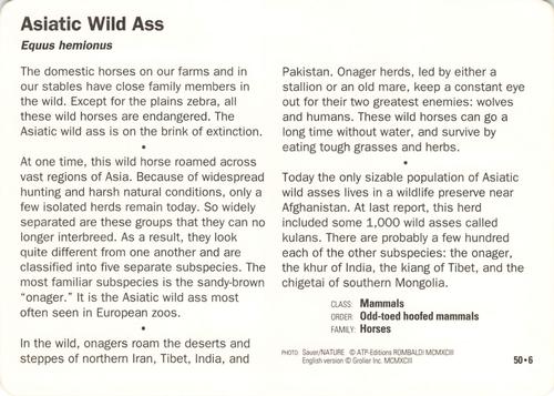 1991-95 Grolier Wildlife Adventure Cards #50.6 Asiatic Wild Ass Back