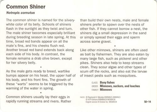 1991-95 Grolier Wildlife Adventure Cards #50.14 Common Shiner Back