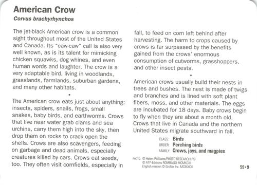 1991-95 Grolier Wildlife Adventure Cards #59.9 American Crow Back