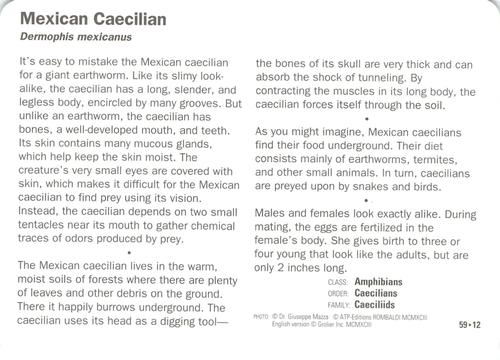 1991-95 Grolier Wildlife Adventure Cards #59.12 Mexican Caecilian Back