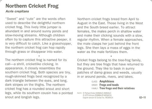 1991-95 Grolier Wildlife Adventure Cards #63.11 Northern Cricket Frog Back