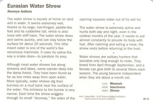 1991-95 Grolier Wildlife Adventure Cards #97.3 Eurasian Water Shrew Back