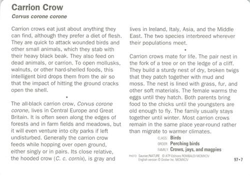 1991-95 Grolier Wildlife Adventure Cards #97.7 Carrion Crow Back