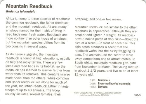 1991-95 Grolier Wildlife Adventure Cards #102.5 Moutain Reedbuck Back