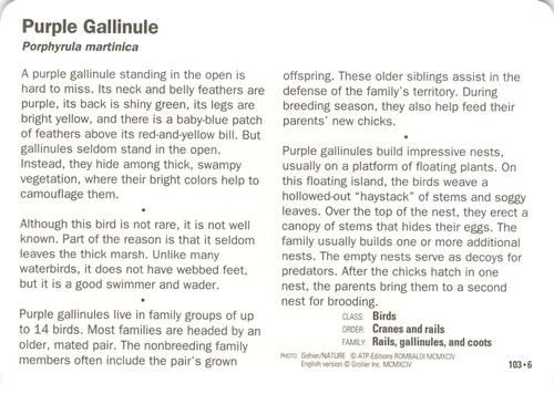 1991-95 Grolier Wildlife Adventure Cards #103.6 Purple Gallinule Back